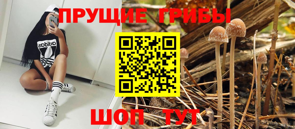 Галлюциногенные грибы мухоморы  Вход с VPN  Псилоцибиновые грибы Magic Shrooms  Валуйки 